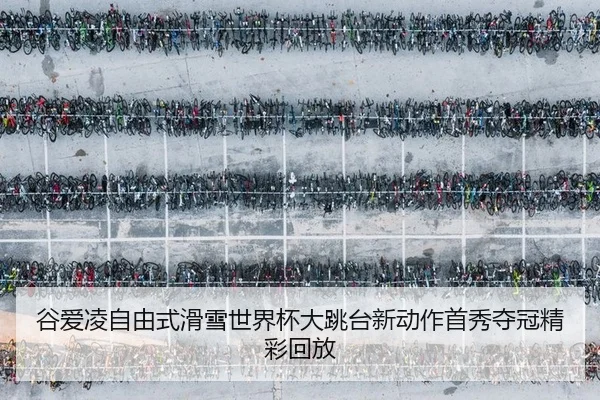 gu-ai-ling-zi-you-shi-hua-xue-shi-jie-bei-da-tiao-tai-xin-dong-zuo-shou-xiu-duo-guan-jing-cai-hui-fang-2-822.jpg